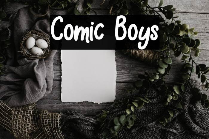 Comic Boys Example 2