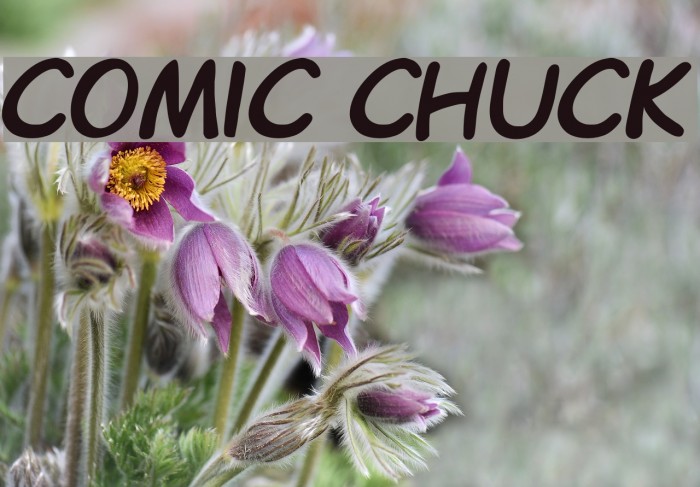 Comic Chuck Example 3