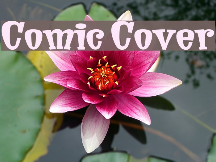 Comic Cover Font examples