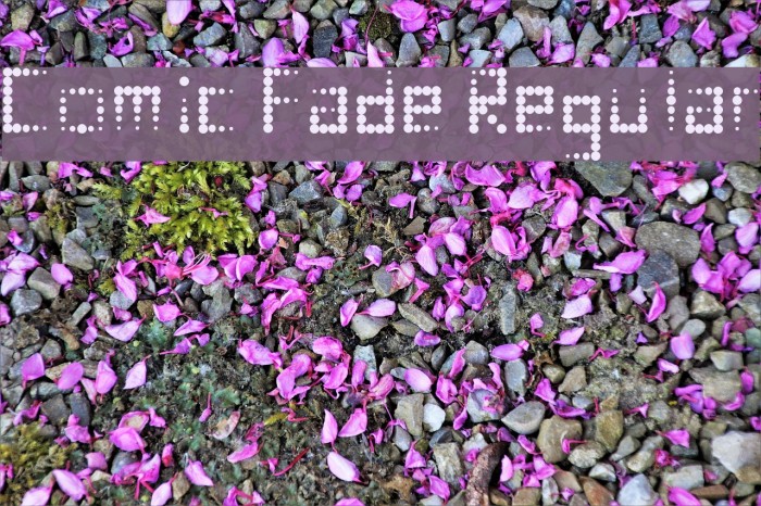 Comic Fade Regular Font examples