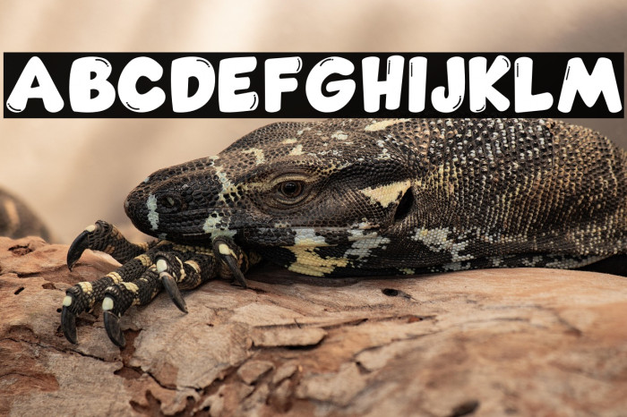 Comic Gecko Pro Example 1