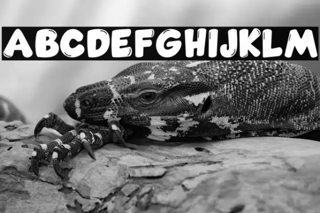 Comic Gecko Pro Font examples