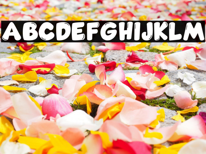 Comic Gecko Pro Example 2