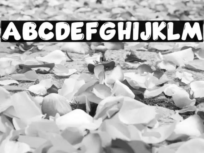 Comic Gecko Pro Font examples