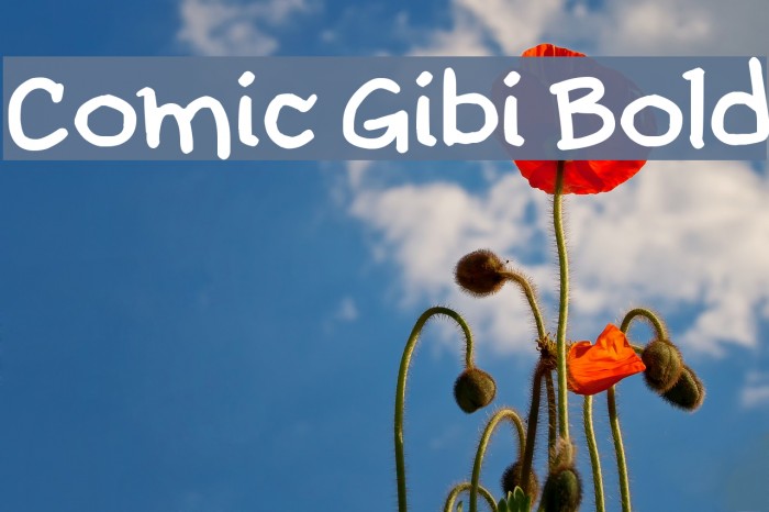 Comic Gibi Bold Font examples