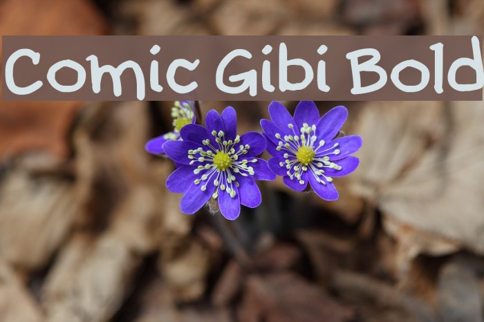 Comic Gibi Bold Font examples