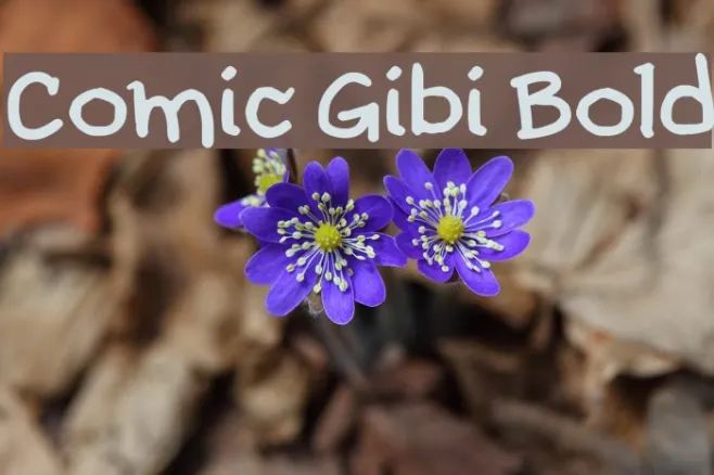 Comic Gibi Bold Example 2