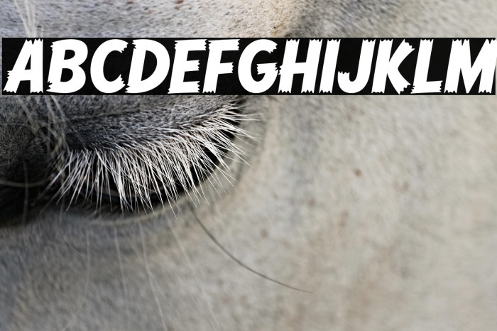 Comic Hero DEMO Regular Example 3