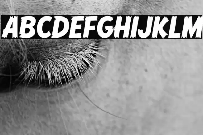 Comic Hero DEMO Regular Fuentes examples