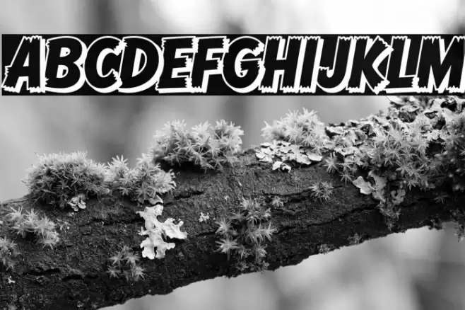 Comic Hero DEMO Shadow Caratteri examples