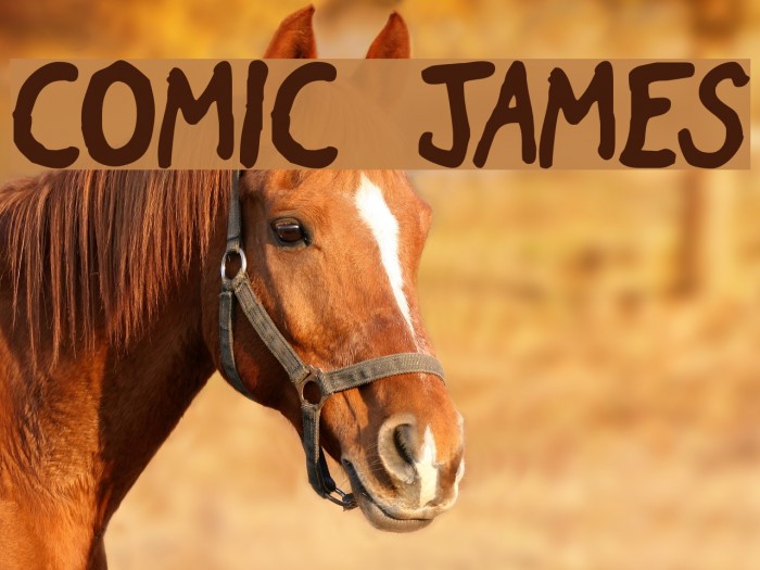 Comic James Font examples
