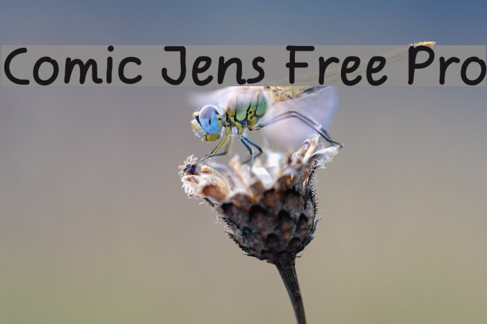 Comic Jens Free Pro Font examples