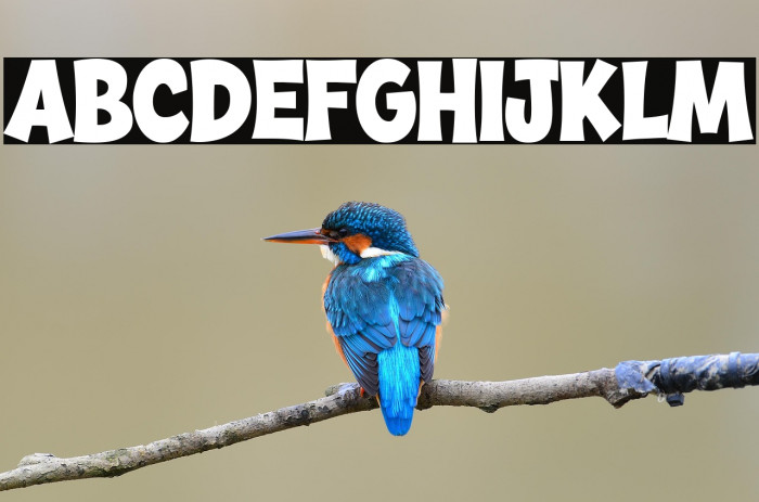 Comic Jungle Example 1