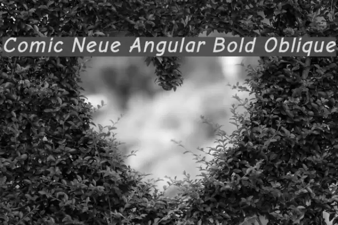 Comic Neue Angular Bold Oblique Font examples