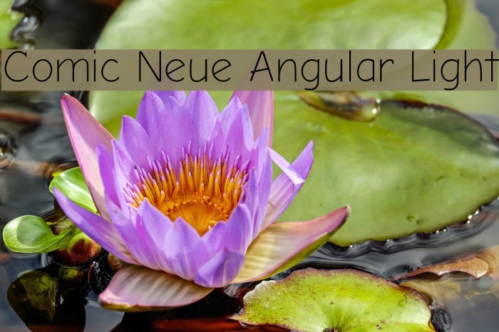 Comic Neue Angular Light 字体 examples