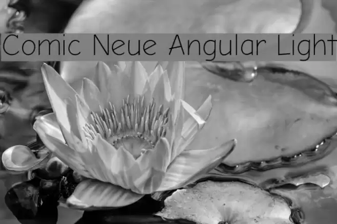 Comic Neue Angular Light 字体 examples