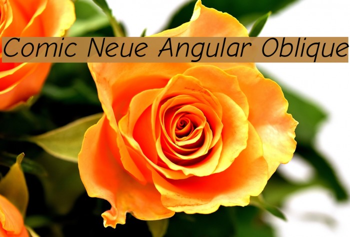 Comic Neue Angular Oblique Font examples