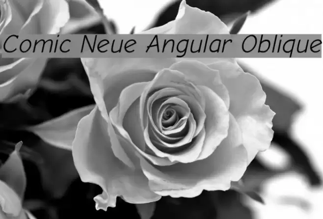 Comic Neue Angular Oblique Font examples