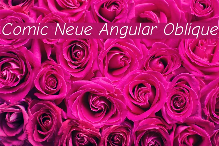 Comic Neue Angular Oblique Font examples