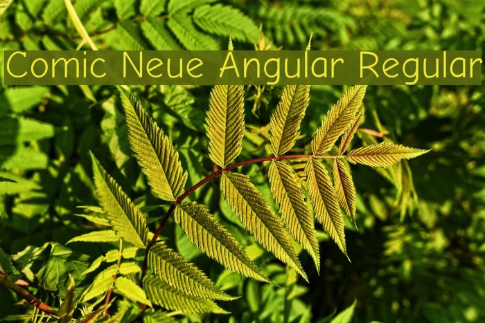 Comic Neue Angular Regular Font examples