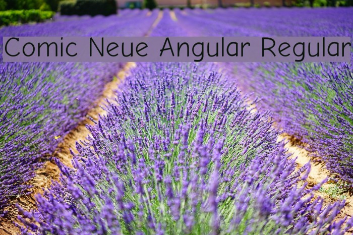 Comic Neue Angular Regular Font examples