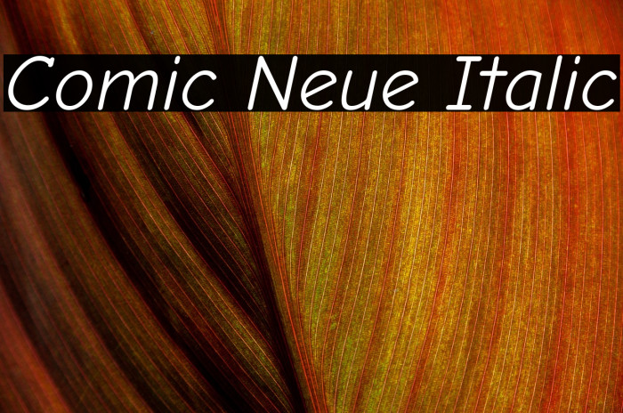 Comic Neue Italic Font examples