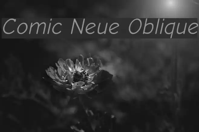 Comic Neue Oblique Font examples