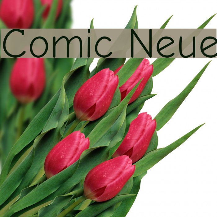 Comic Neue Font examples