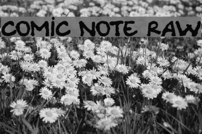 Comic Note Raw Font examples