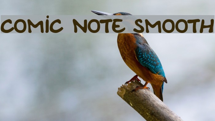 Comic Note Smooth Font examples