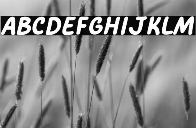 Comic Pillow Polices examples