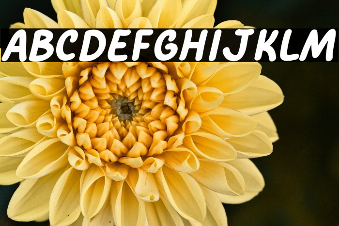 Comic Pillow Example 3