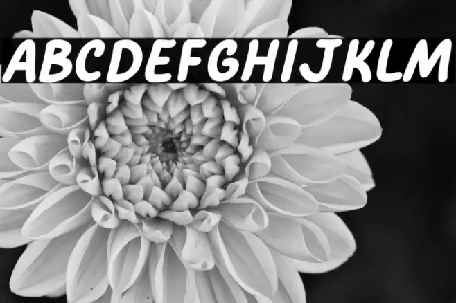 Comic Pillow Polices examples