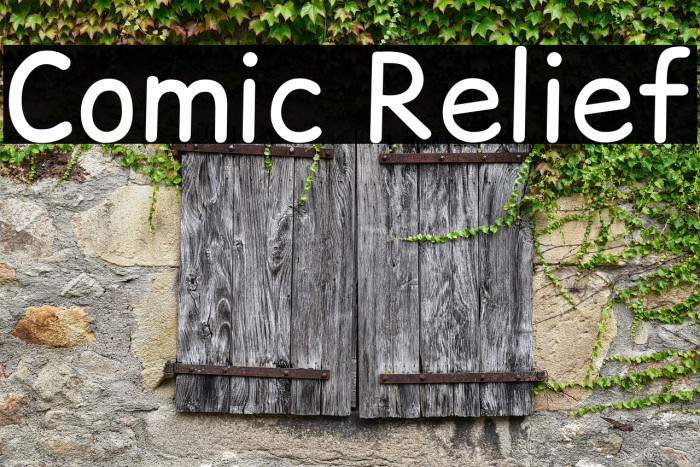 Comic Relief Example 2