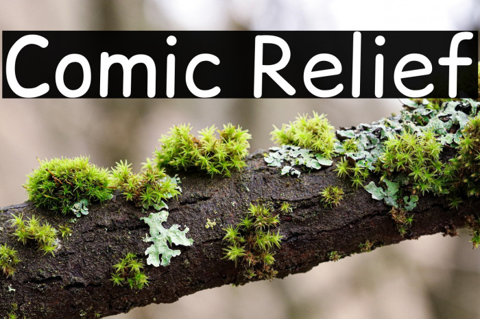 Comic Relief Example 3