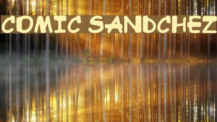 Comic Sandchez Font examples