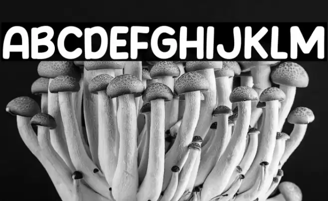 Comic Story Font examples