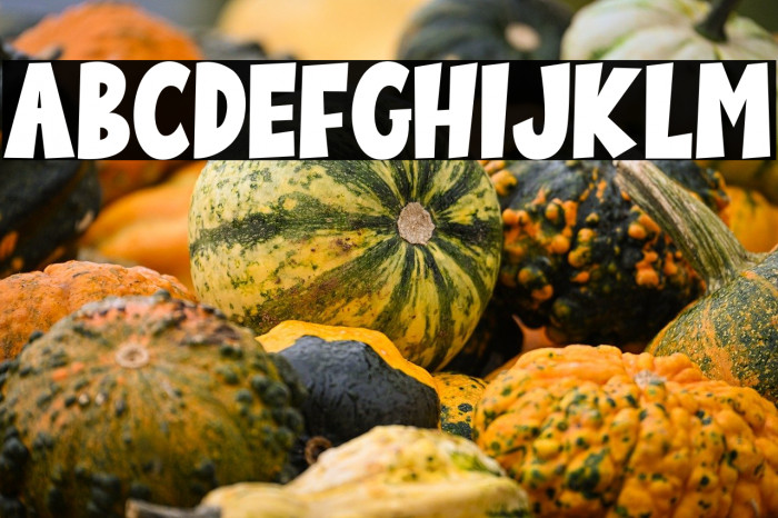 Comic Vaganza Example 2