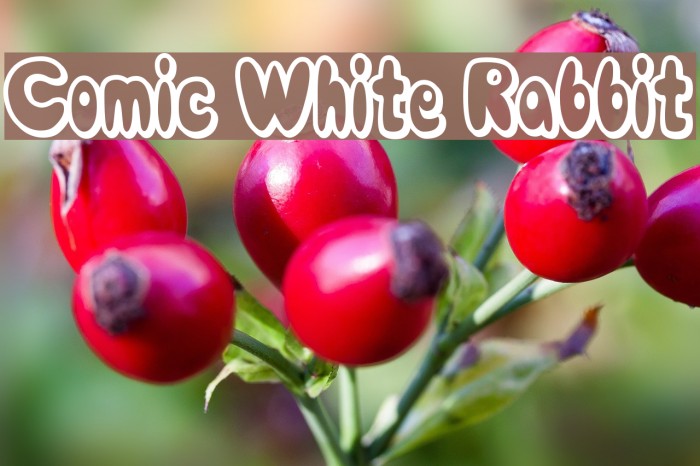 Comic White Rabbit Font examples