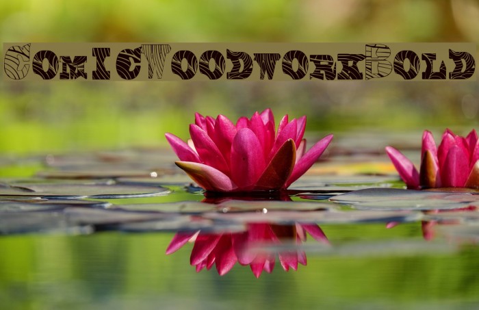 Comic Woodwork Bold Example 1