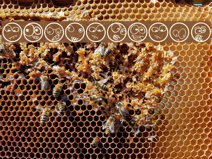 ComicFaces Example 2