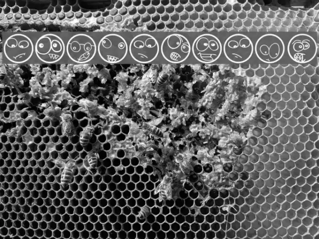 ComicFaces Font examples