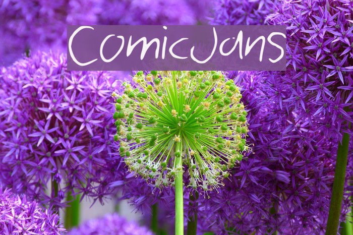 ComicJans Font examples