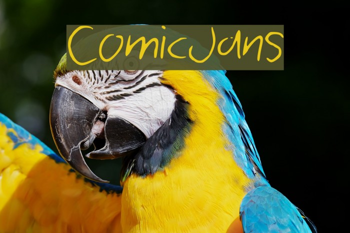 ComicJans Font examples