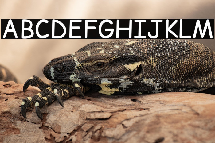 ComicRelief خط examples