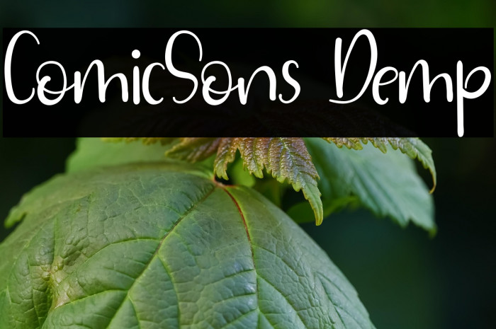 ComicSons Demp Example 2