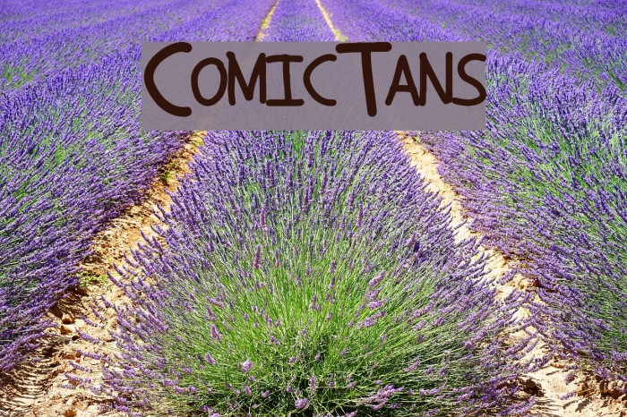 ComicTans Font examples