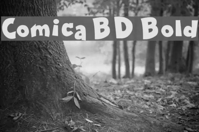 Comica BD Bold Font examples