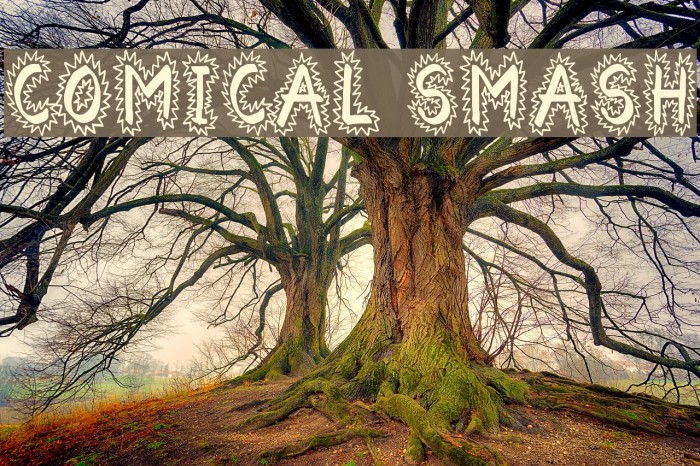 Comical Smash Font examples