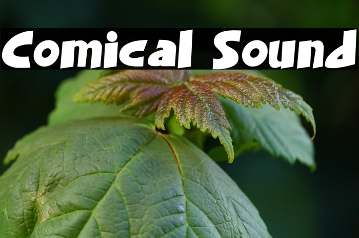 Comical Sound Example 2